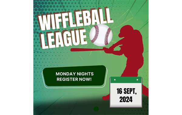 Wiffleball League 